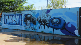 833758 Afbeelding van o.a. een graffitikunstwerk met insecten in blauwtinten uit 2017, op een muur langs het skatepark ...